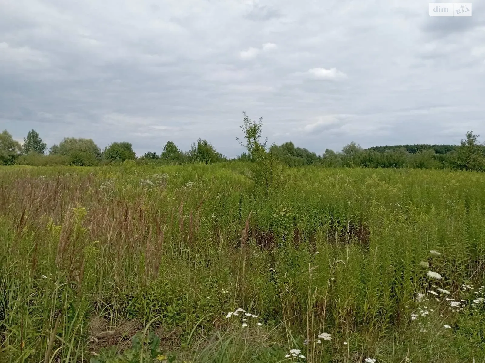 Сдается в аренду земельный участок 1.9411 соток в Львовской области, цена: 7295 грн - фото 1