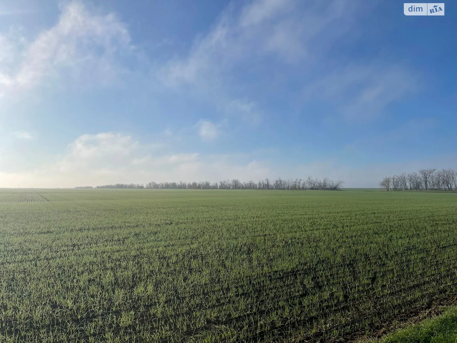 Здається в оренду земельна ділянка 16.25 соток у Миколаївській області, цена: 57936 грн - фото 1