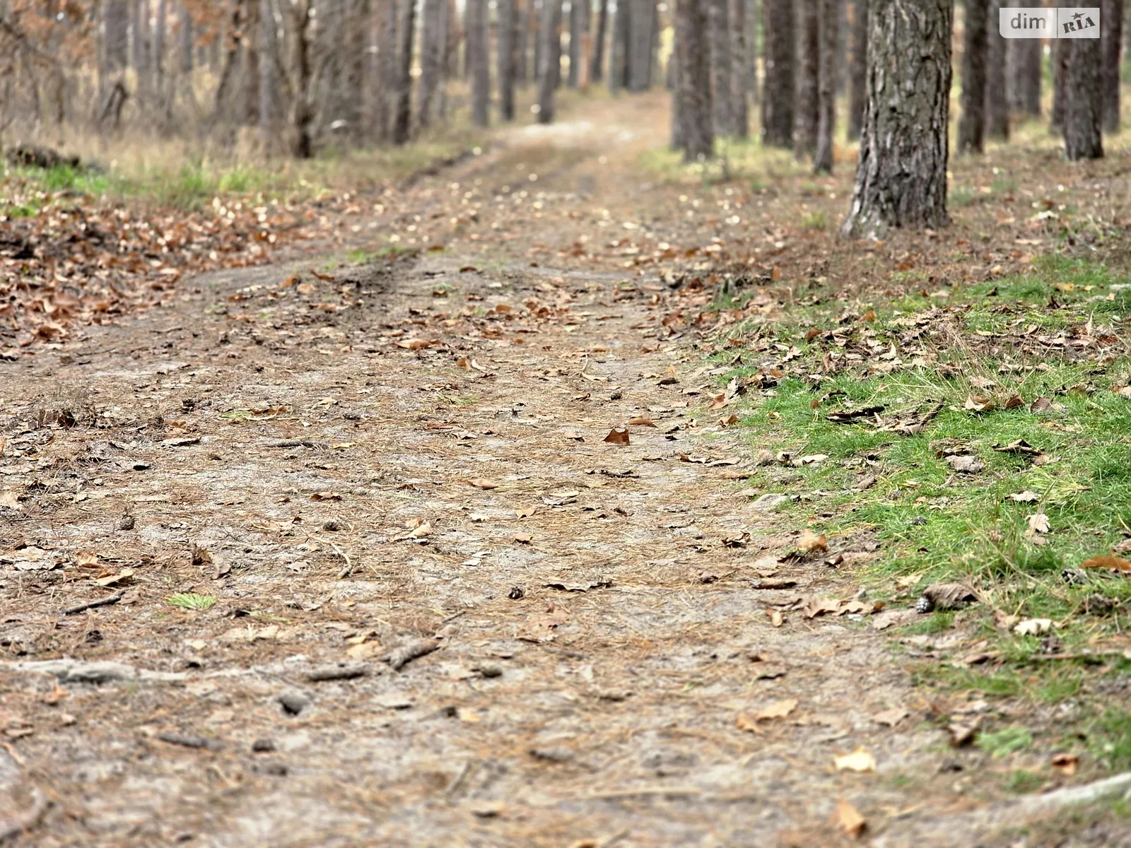 Продается земельный участок 10.02 соток в Киевской области, цена: 89450 $ - фото 1
