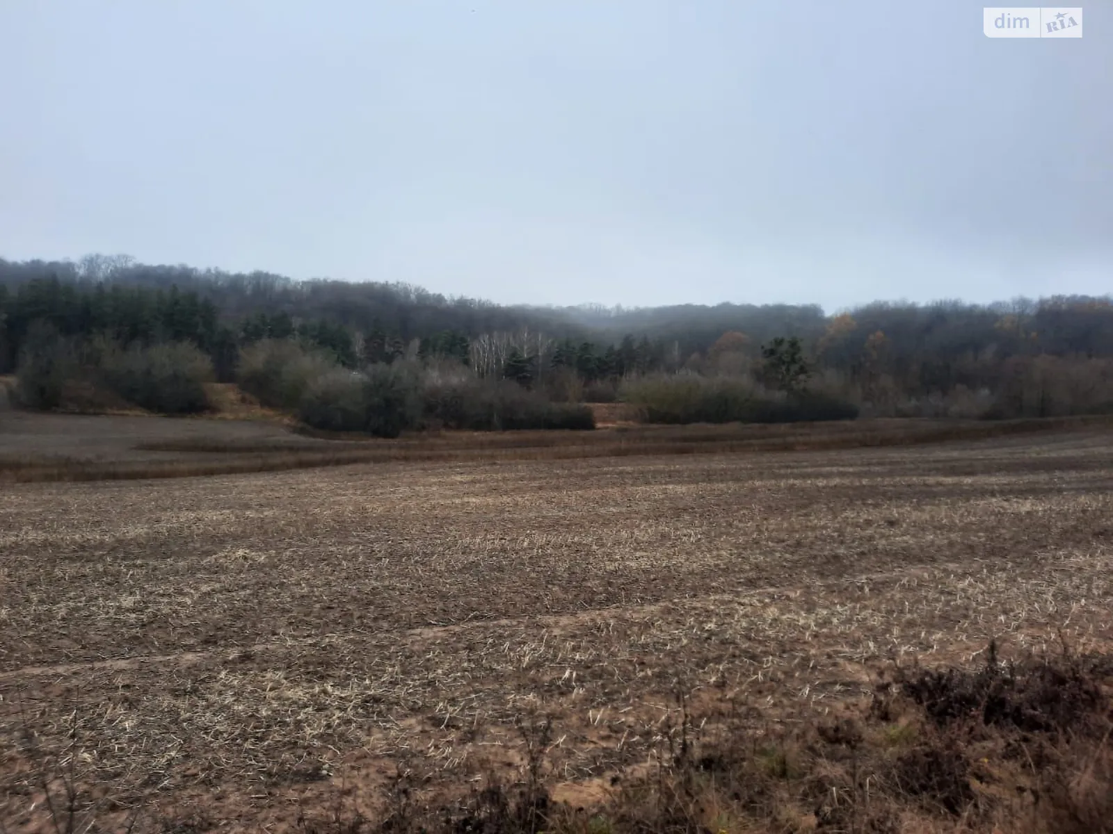 Сдается в аренду земельный участок 4.7 соток в  области, цена: 9307 грн - фото 1