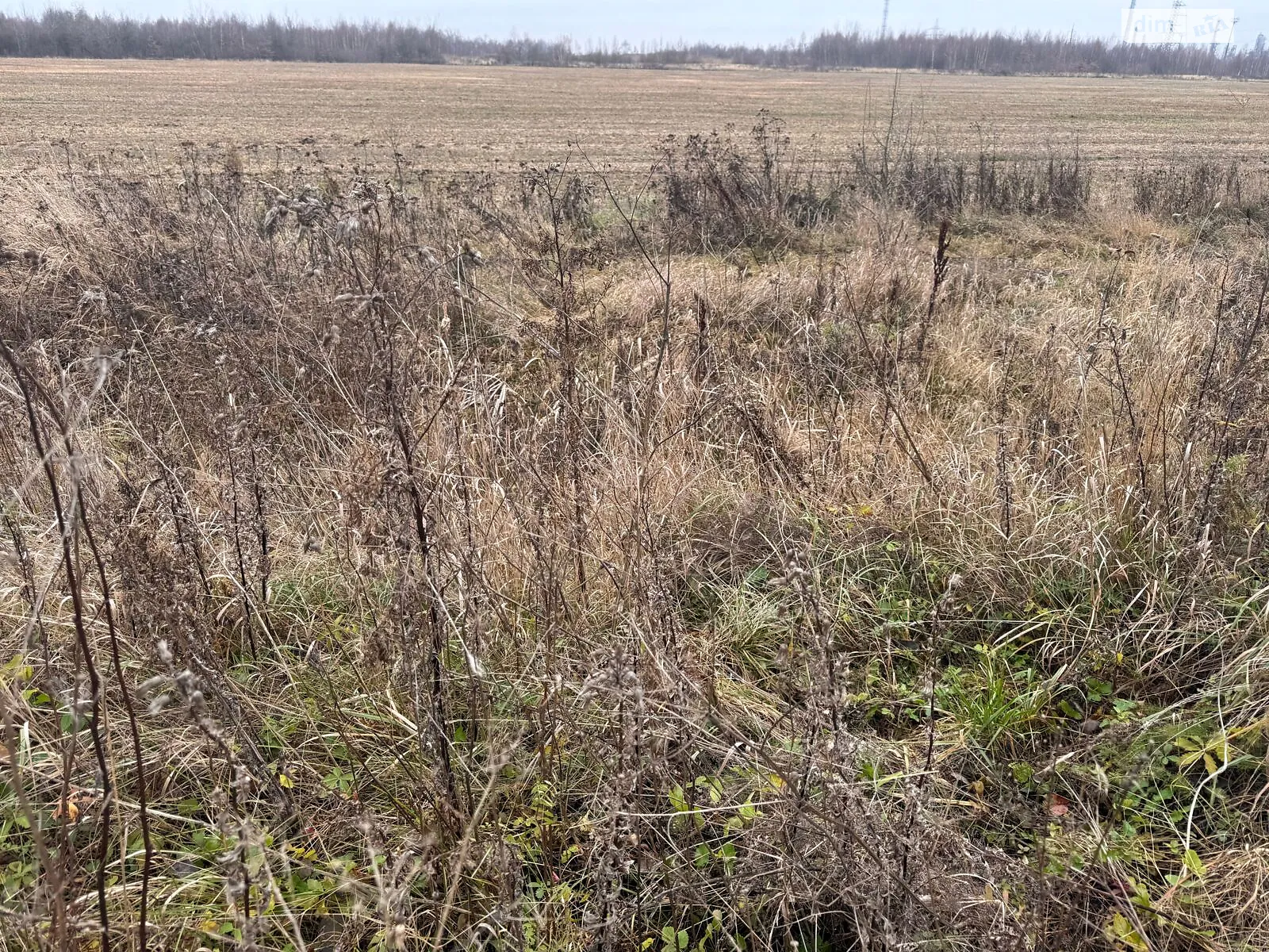 Сдается в аренду земельный участок 12.6026 соток в Ивано-Франковской области, цена: 27043 грн - фото 1