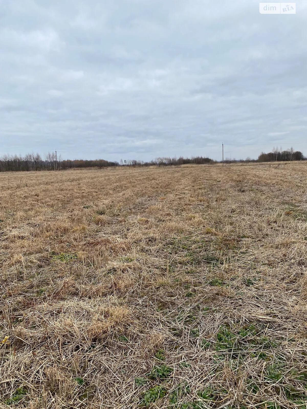 Продается земельный участок 5.2005 соток в Ивано-Франковской области, цена: 9680731 грн - фото 1