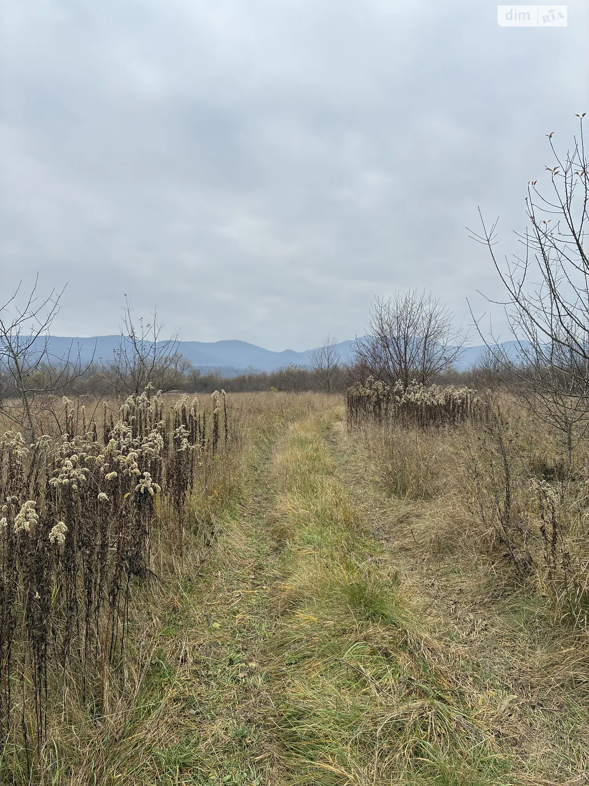 Продается земельный участок 15 соток в Закарпатской области, цена: 30000 $ - фото 1