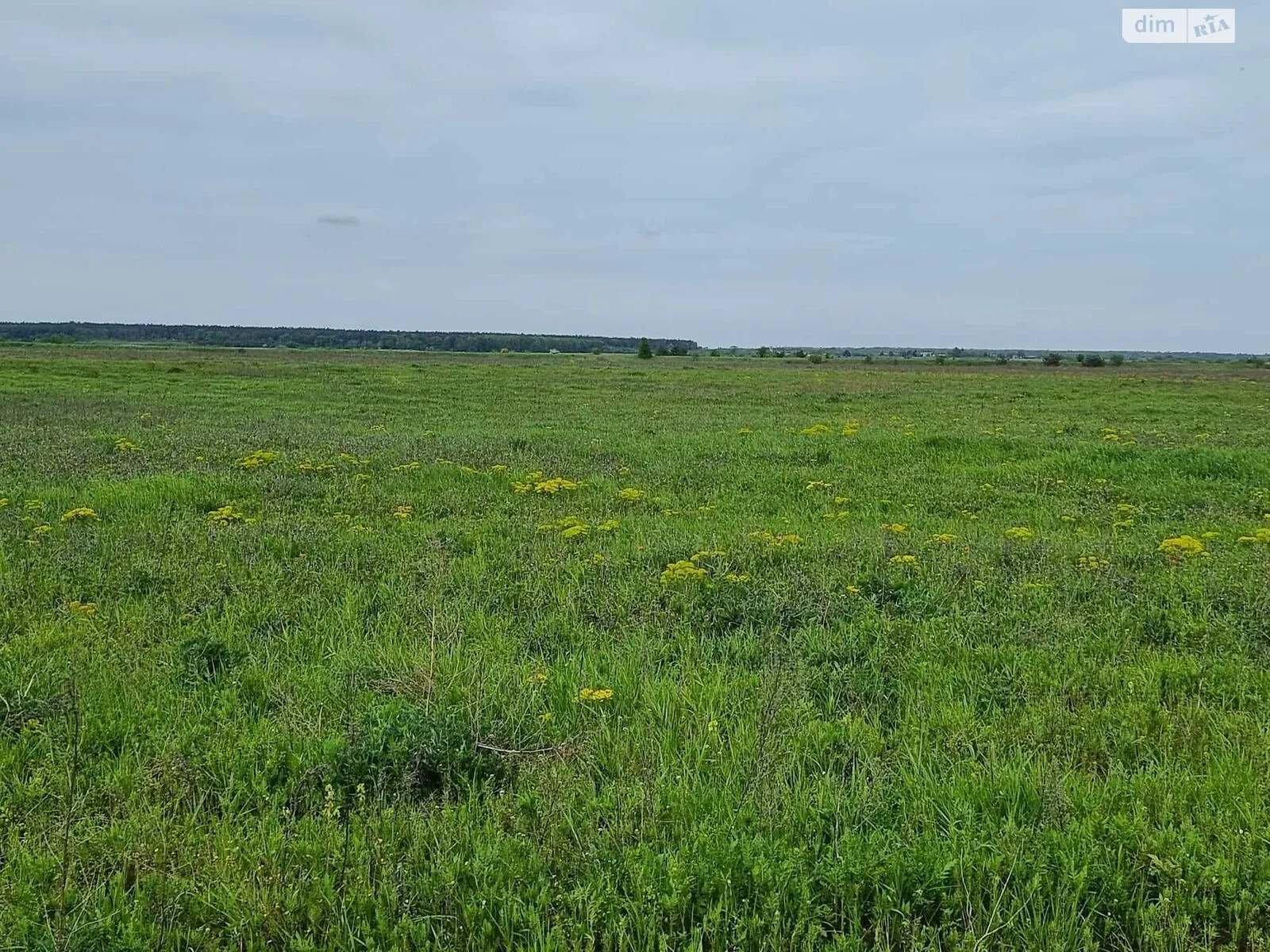 Сдается в аренду земельный участок 1.48 соток в Львовской области, цена: 7488 грн - фото 1