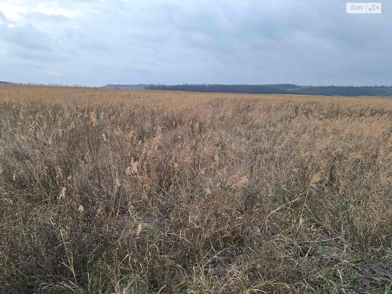 Юрьевка, цена: 20393 грн - фото 1