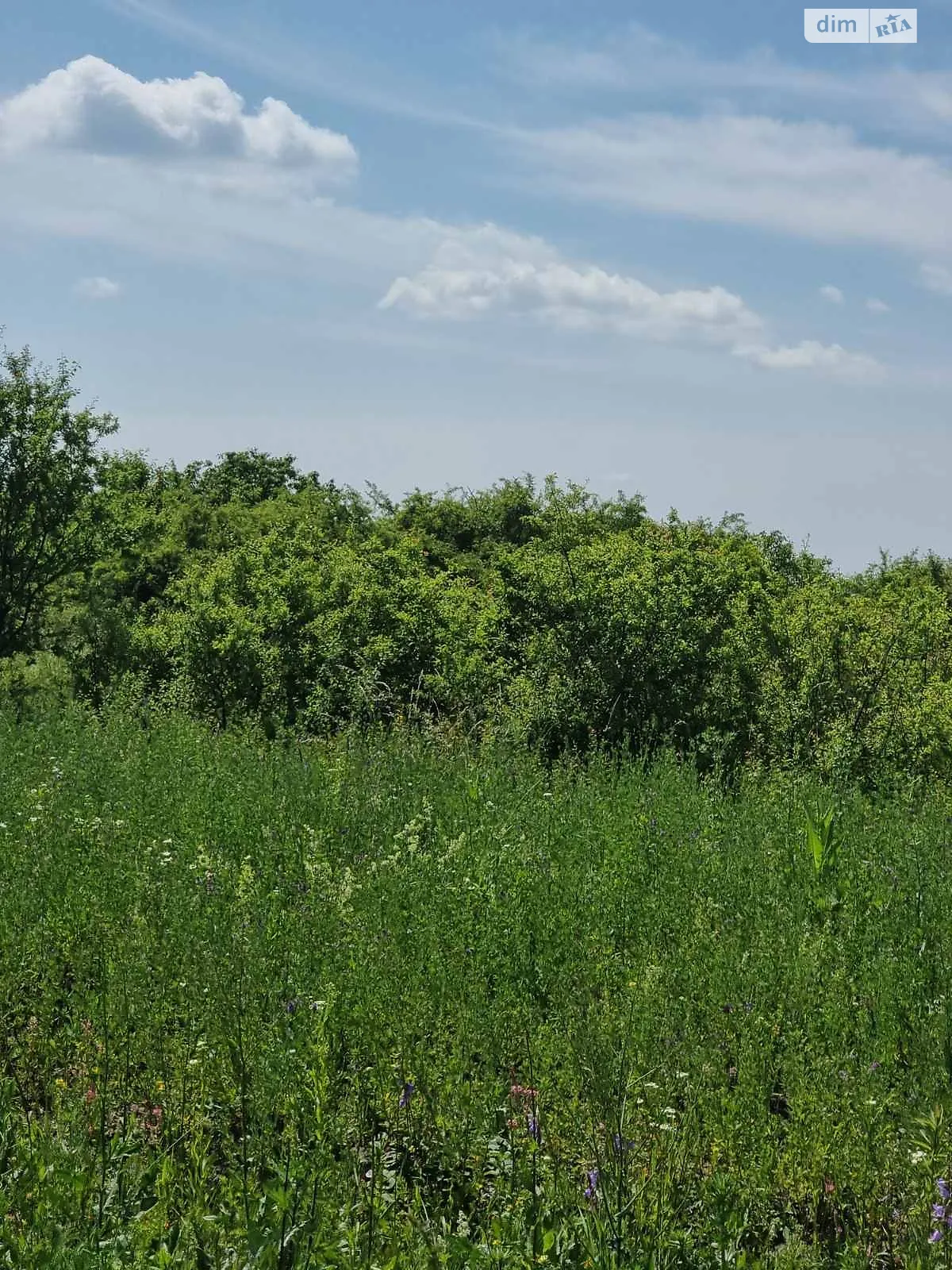 Сдается в аренду земельный участок 2.308 соток в Львовской области, цена: 11661 грн - фото 1