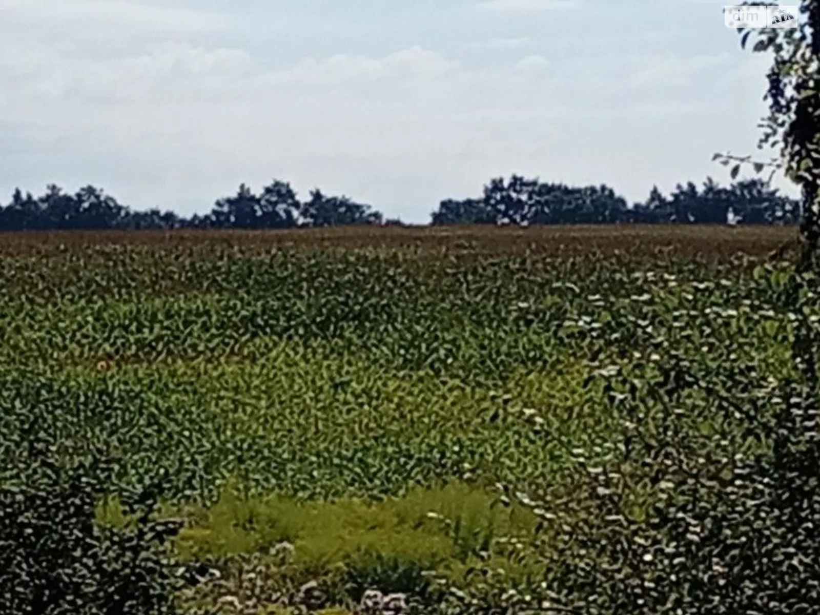 Белогородка, цена: 1817700 грн - фото 1