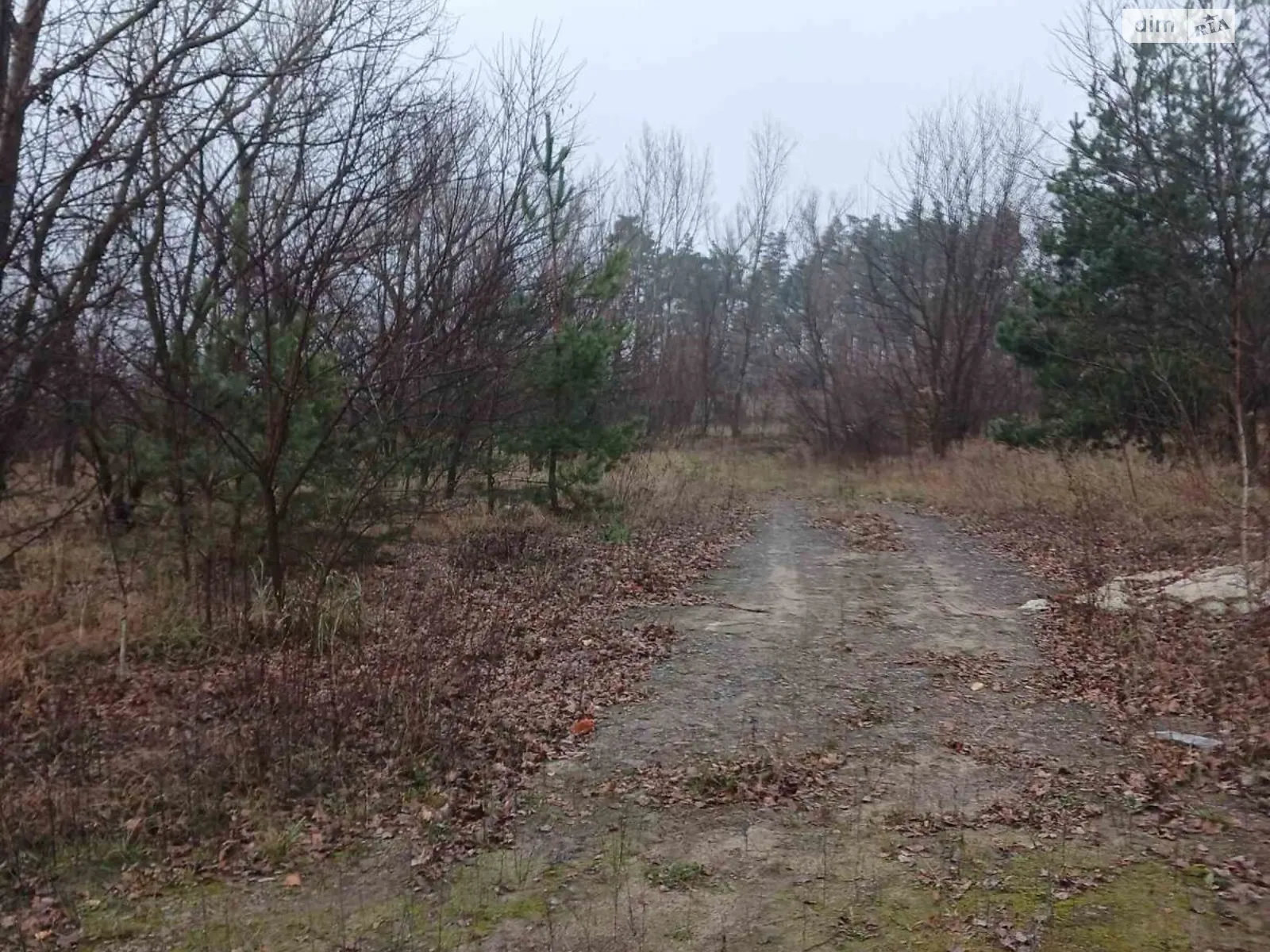 Хомутец, цена: 508167 грн - фото 1