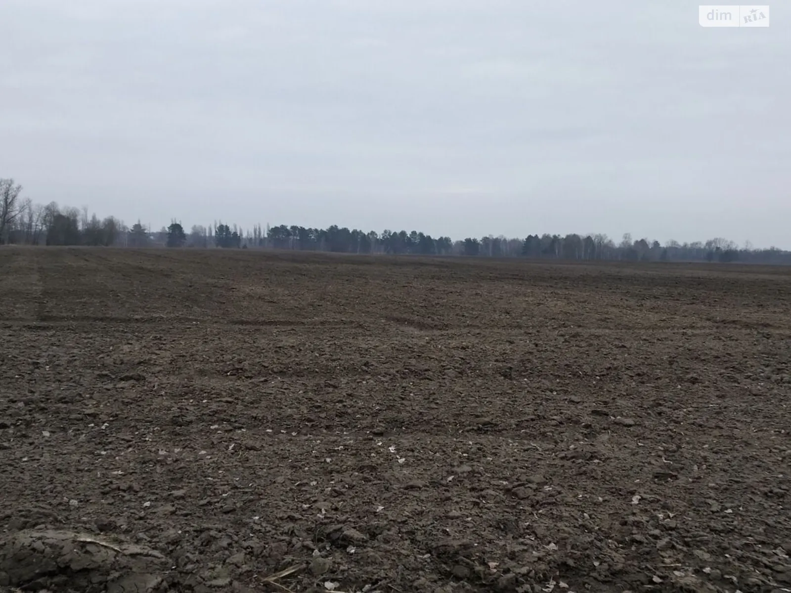 Киев, цена: 549564 грн - фото 1