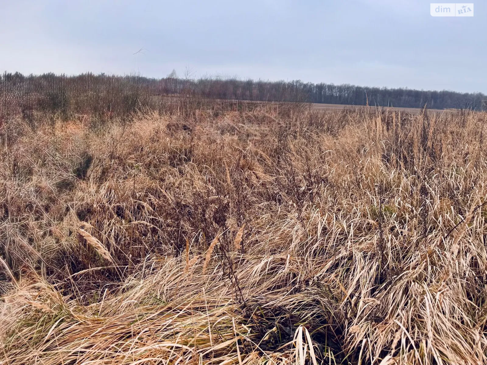 Сдается в аренду земельный участок 4.3 соток в  области, цена: 2483 грн - фото 1