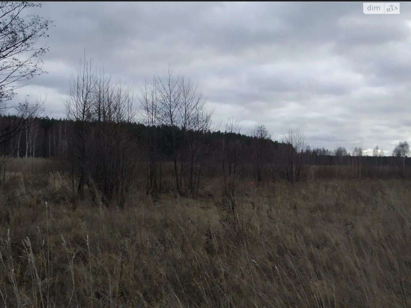 Киев, цена: 10446470 грн - фото 1