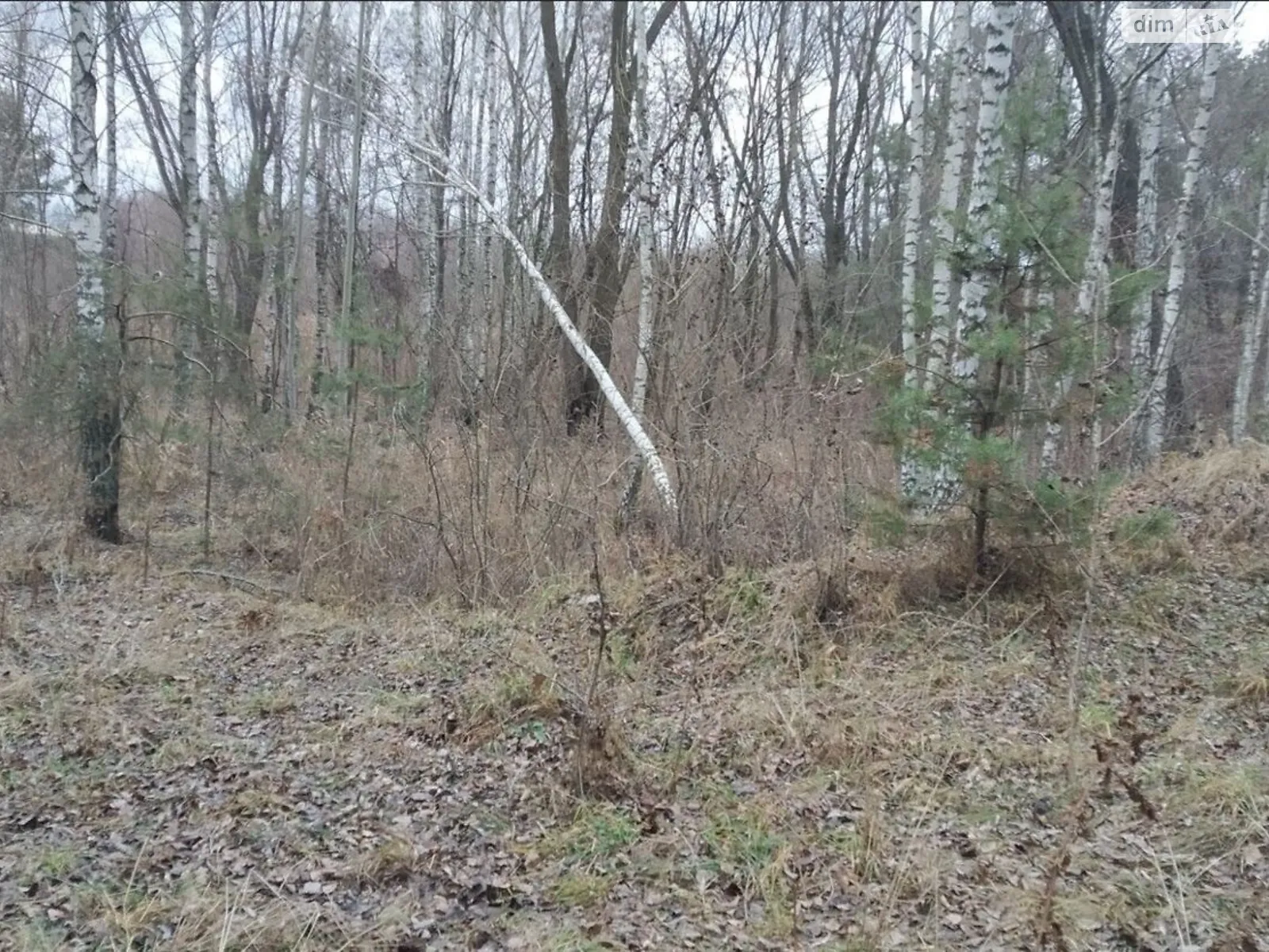 Продается земельный участок 13.5348 соток в Киевской области, цена: 10446470 грн - фото 1