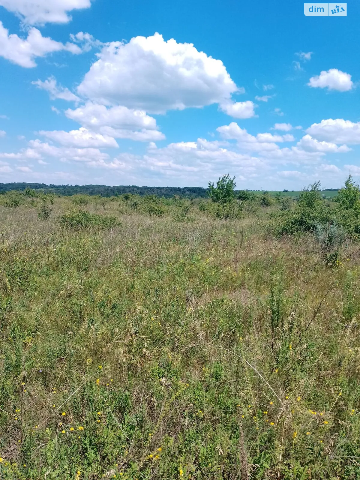 Сдается в аренду земельный участок 4.4061 соток в Кировоградской области, цена: 16099 грн - фото 1