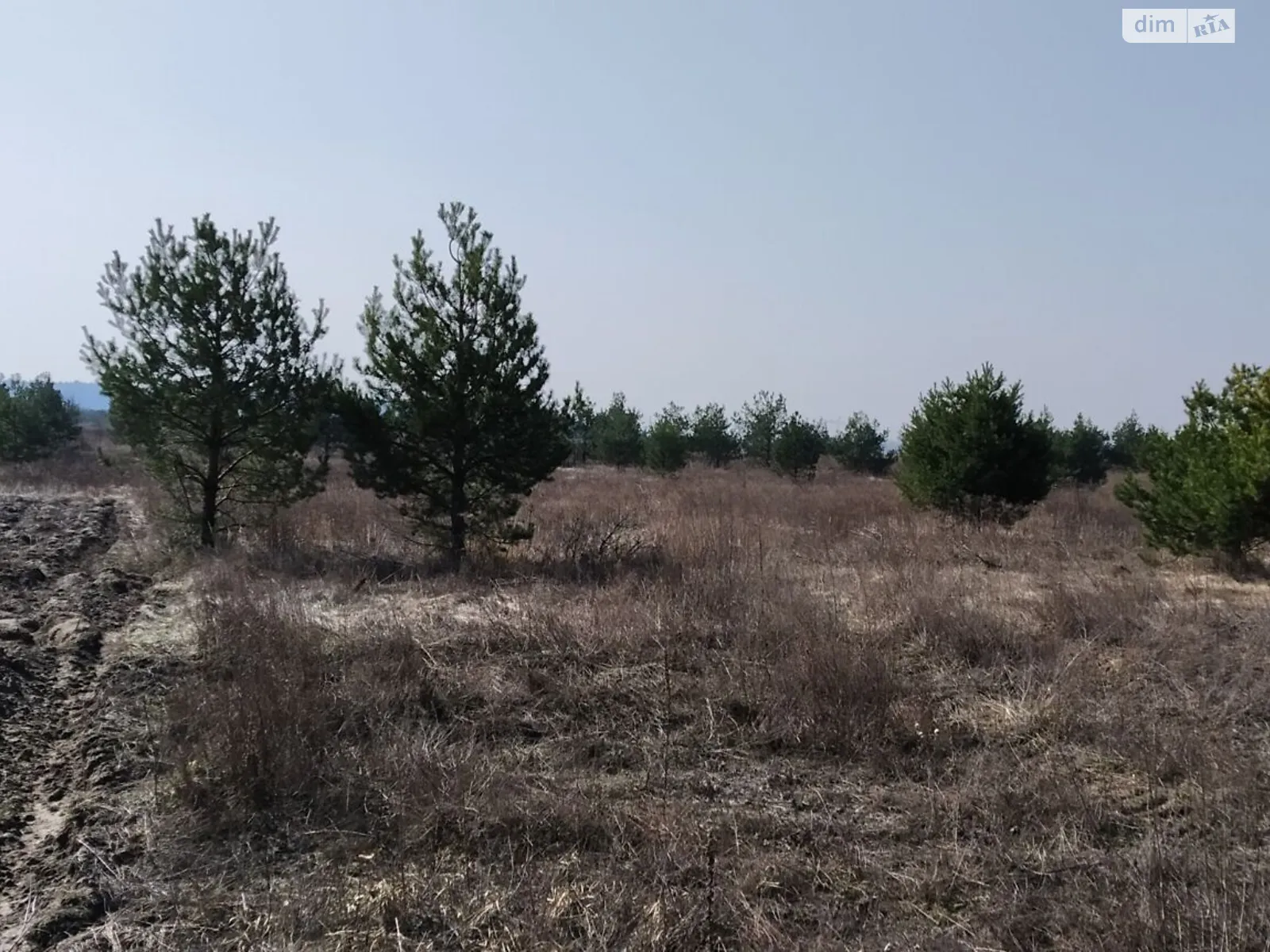 Киев, цена: 796800 грн - фото 1