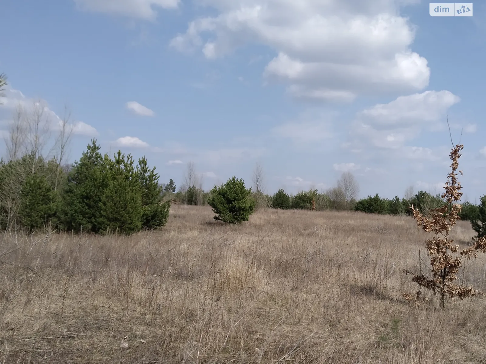 Продается земельный участок 3.9901 соток в Киевской области, цена: 547800 грн - фото 1