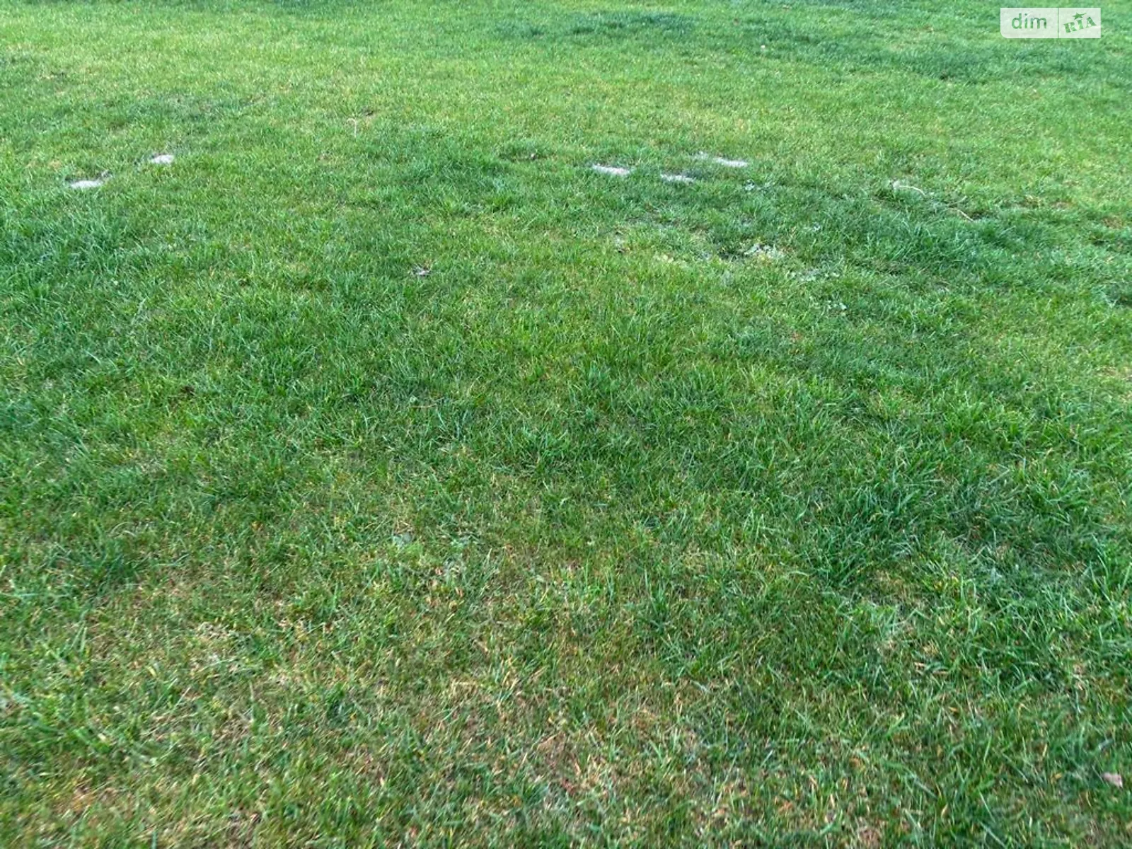 Сдается в аренду земельный участок 6.2597 соток в Днепропетровской области, цена: 22950 грн - фото 1