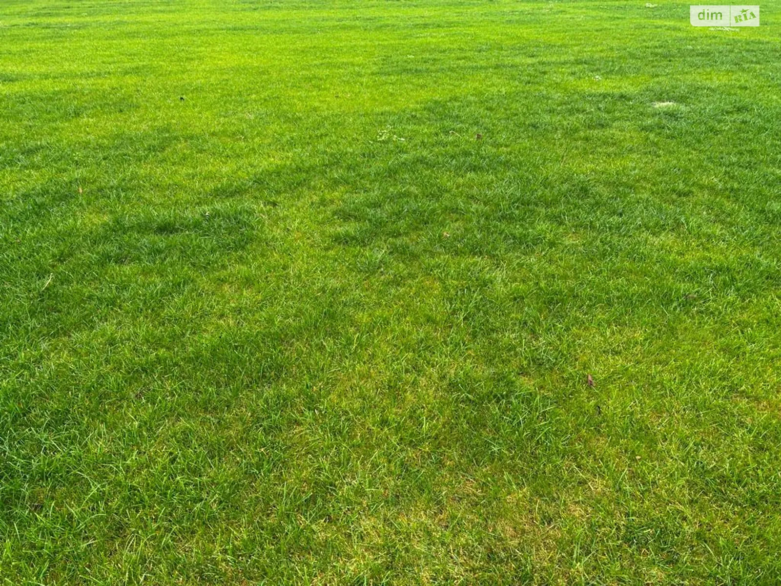 Сдается в аренду земельный участок 15.7755 соток в Днепропетровской области, цена: 58772 грн - фото 1