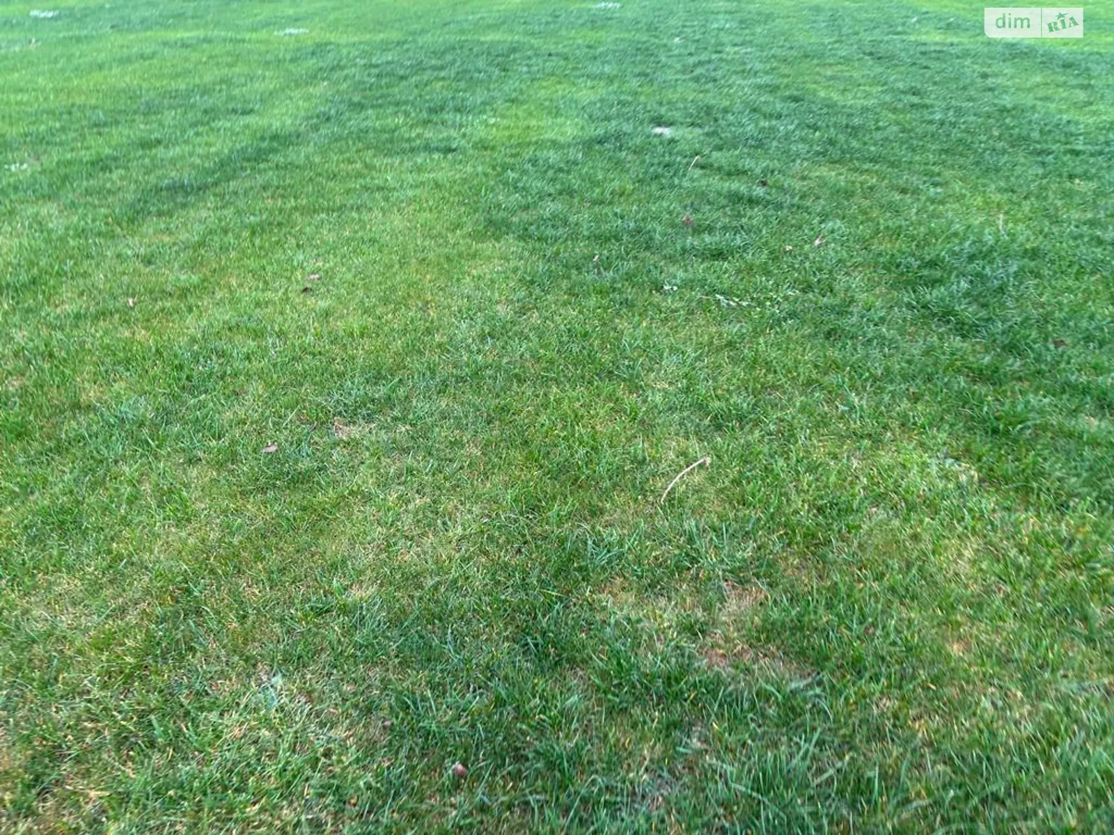 Сдается в аренду земельный участок 5.9049 соток в Днепропетровской области, цена: 15172 грн - фото 1