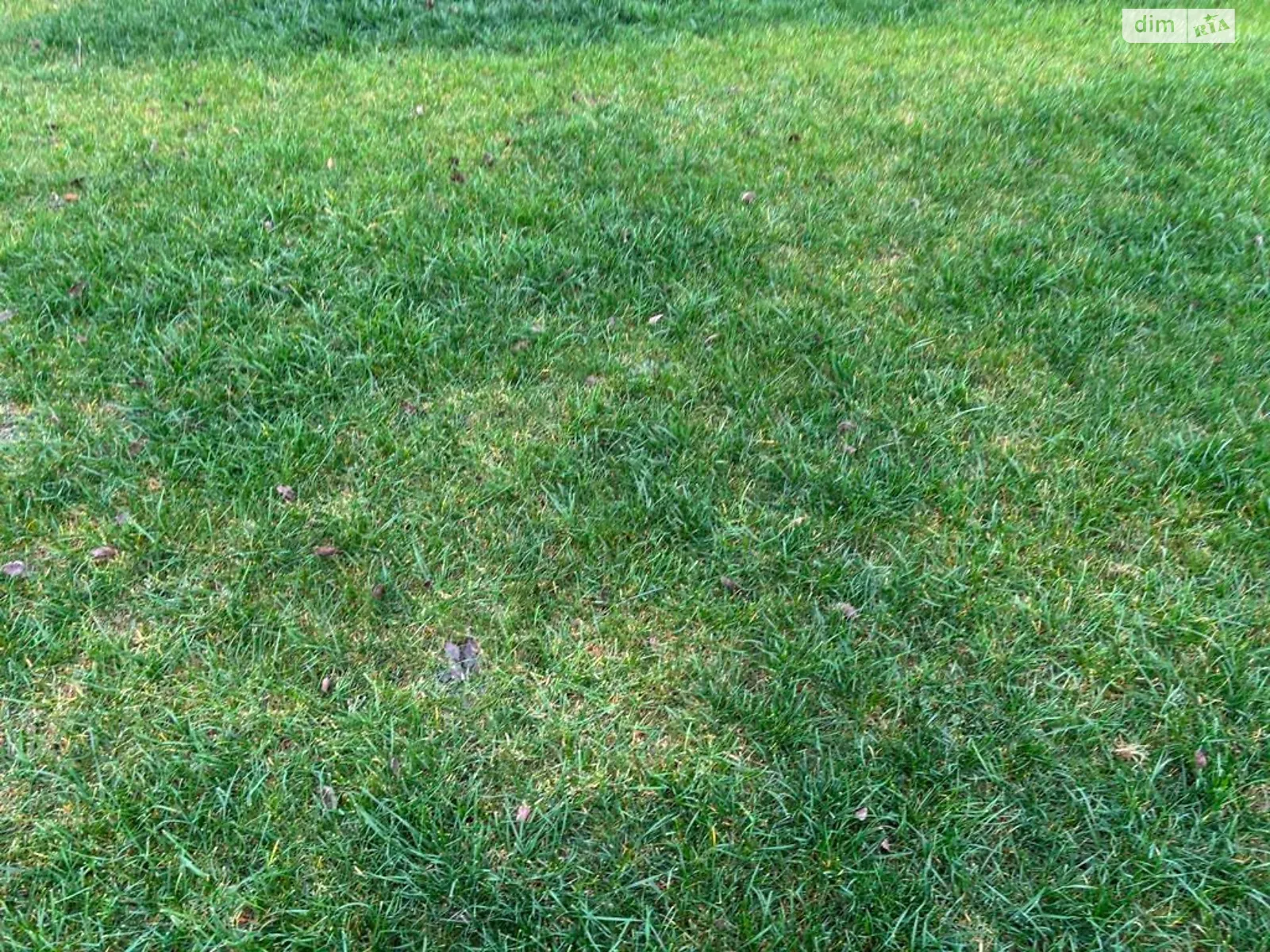 Сдается в аренду земельный участок 10.8151 соток в Днепропетровской области, цена: 40328 грн - фото 1