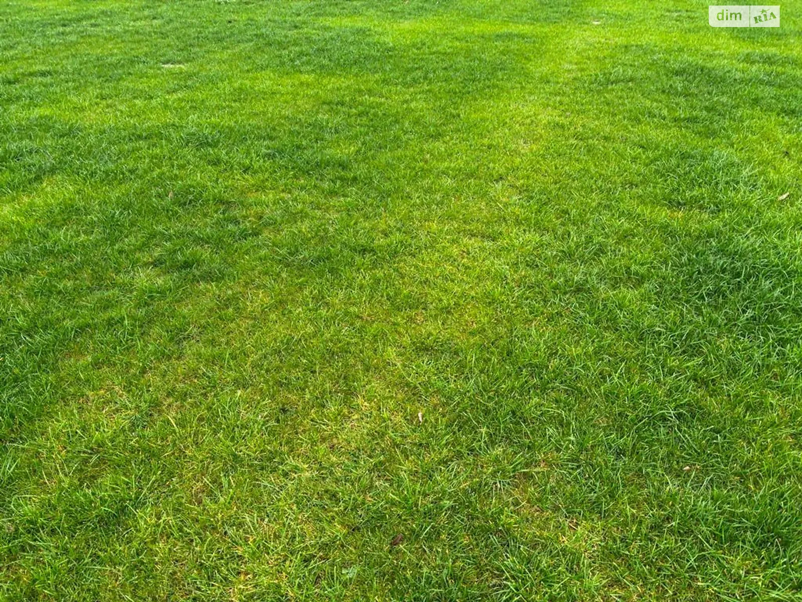 Сдается в аренду земельный участок 7.2425 соток в Днепропетровской области, цена: 23854 грн - фото 1