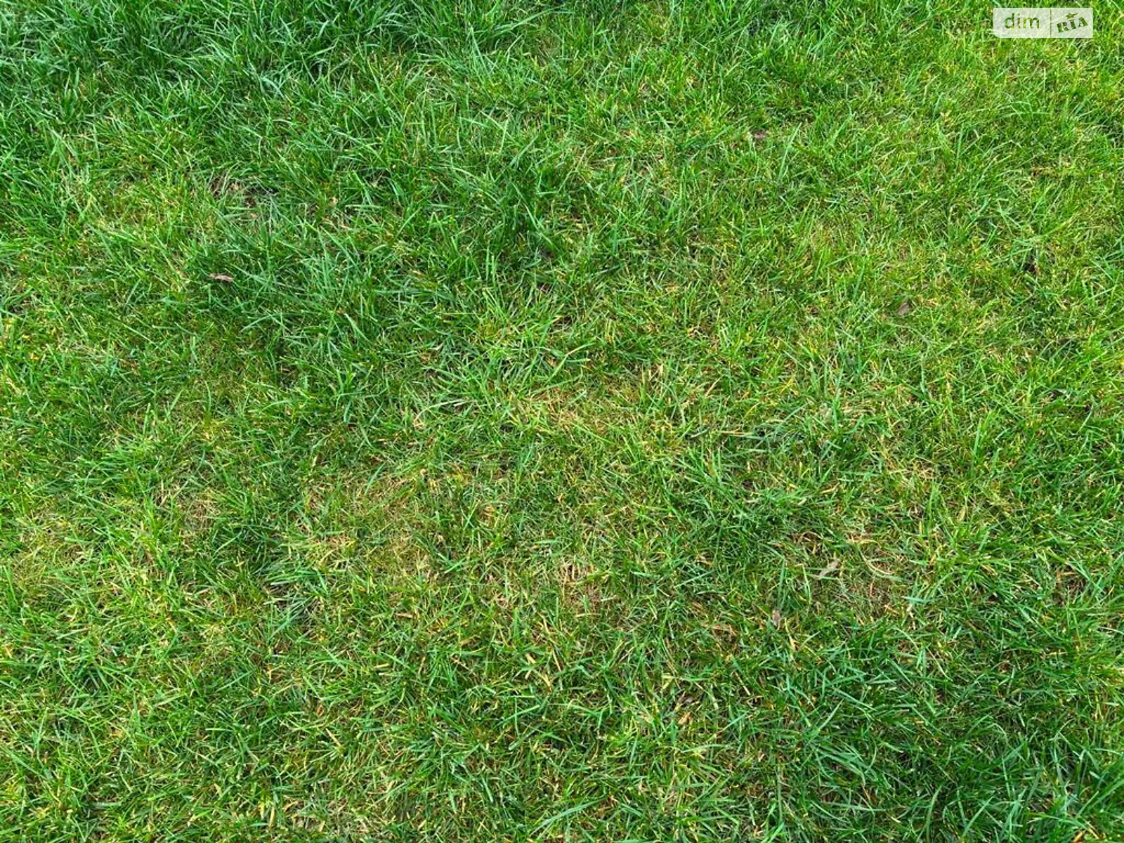 Сдается в аренду земельный участок 2.7422 соток в Днепропетровской области, цена: 10225 грн - фото 1