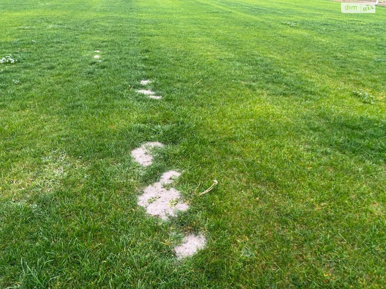 Сдается в аренду земельный участок 12.1507 соток в Днепропетровской области, цена: 45624 грн - фото 1