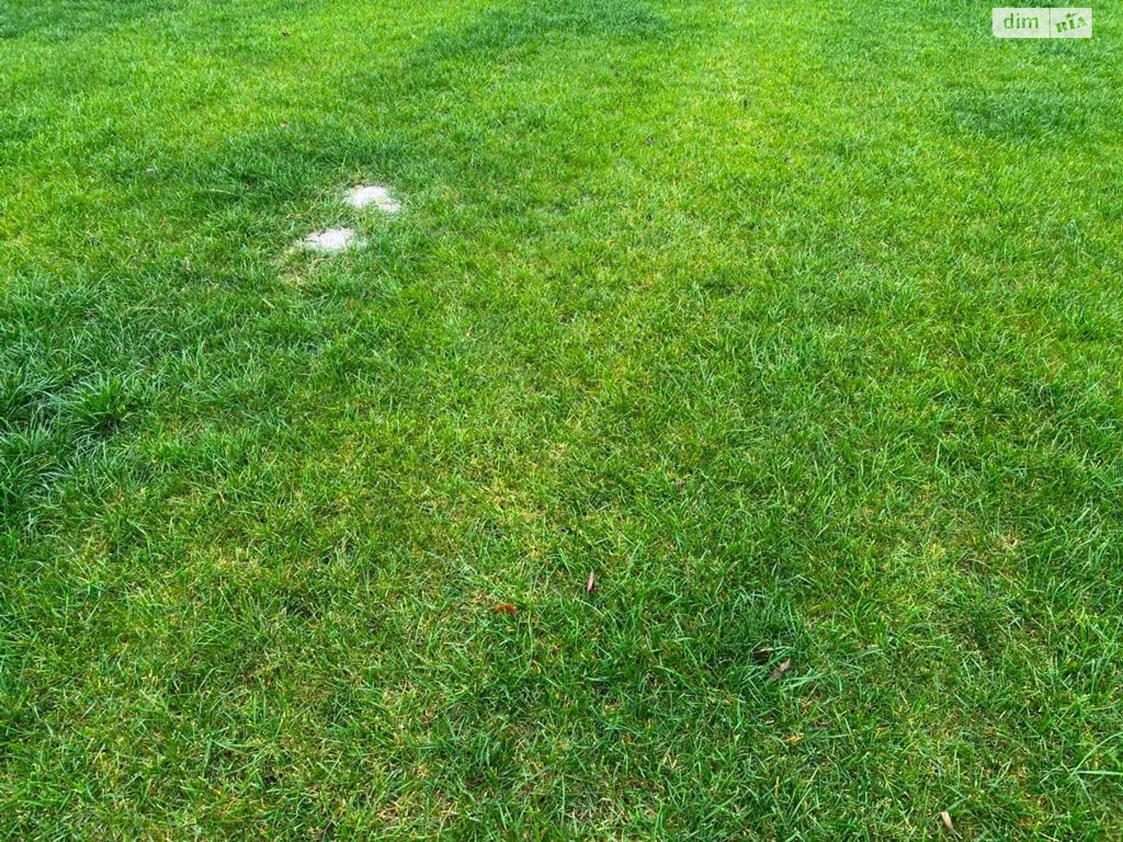 Сдается в аренду земельный участок 9.159 соток в Днепропетровской области, цена: 15199 грн - фото 1