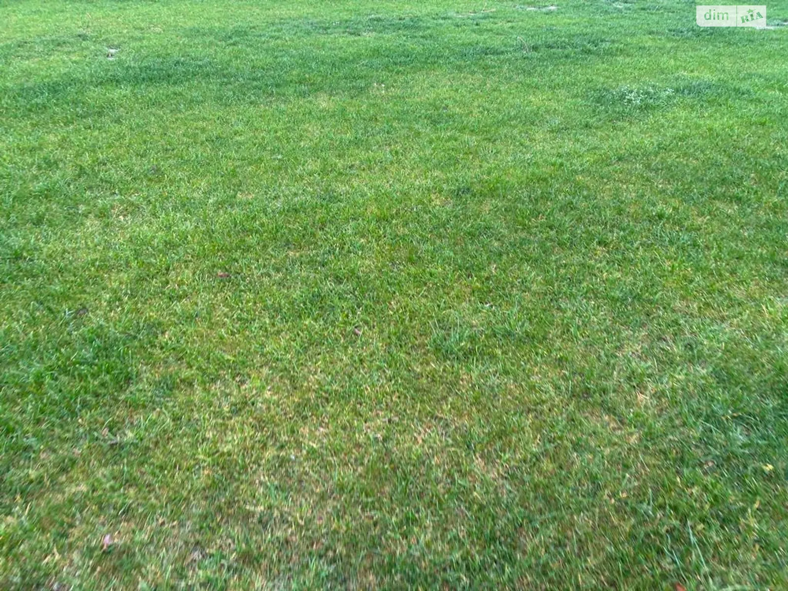 Сдается в аренду земельный участок 11.9807 соток в Днепропетровской области, цена: 38778 грн - фото 1