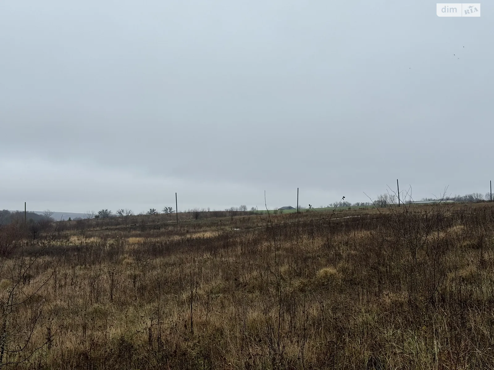 Продается земельный участок 25 соток в Хмельницкой области, цена: 11000 $ - фото 1