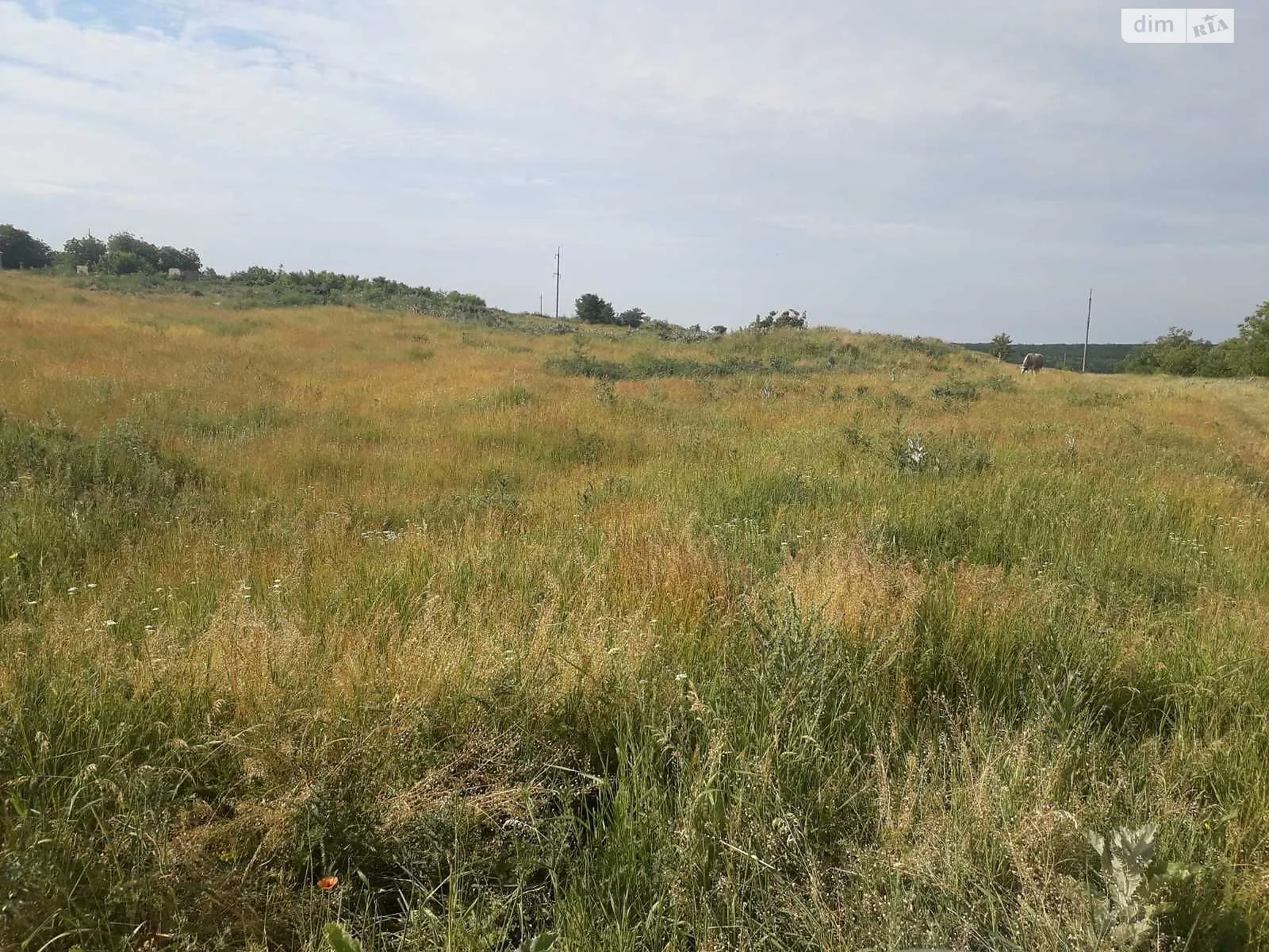 Боровка, цена: 9621 грн - фото 1