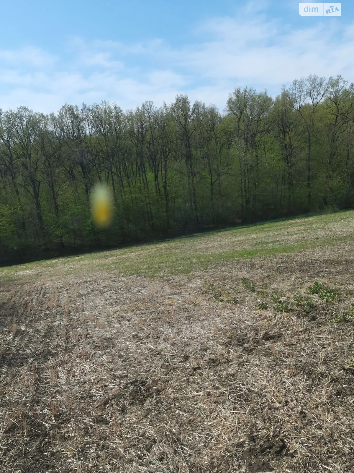 Сокол, цена: 4255 грн - фото 1