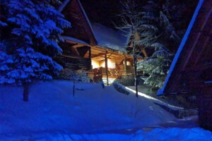 Сниму дом посуточно в Украине