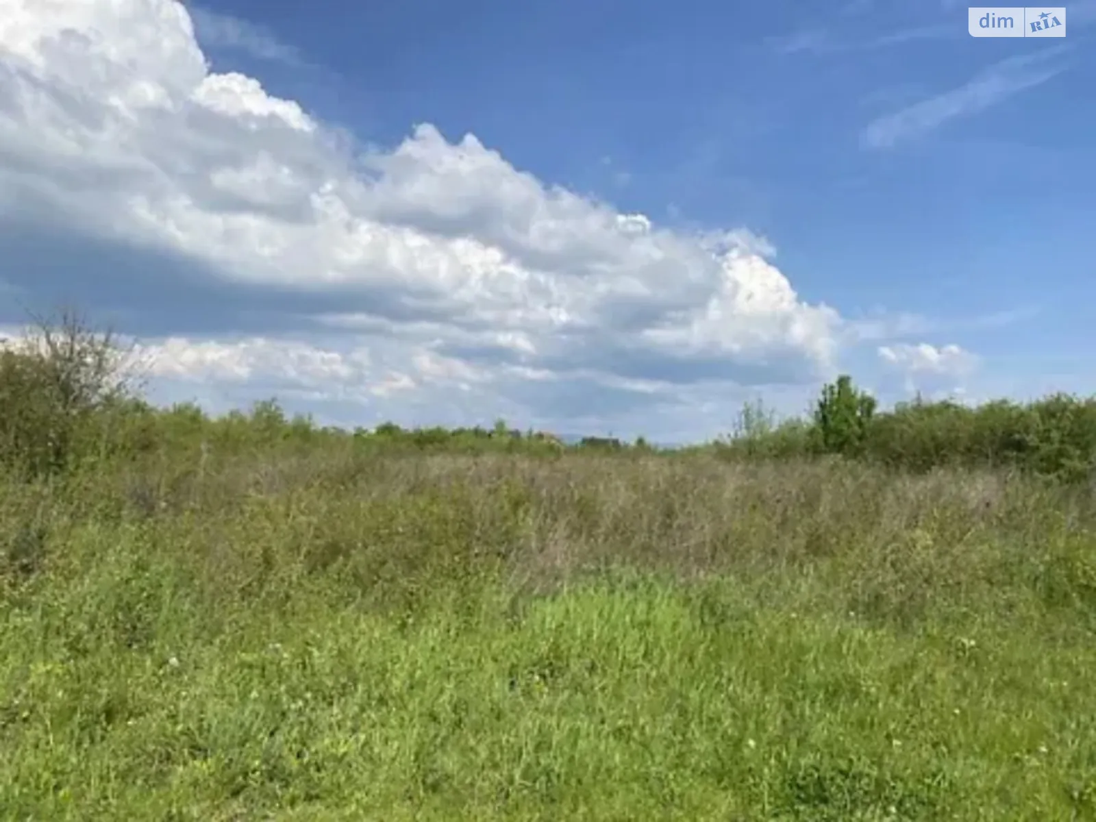 Продается земельный участок 0.0902 соток в Закарпатской области, цена: 8800 $ - фото 1