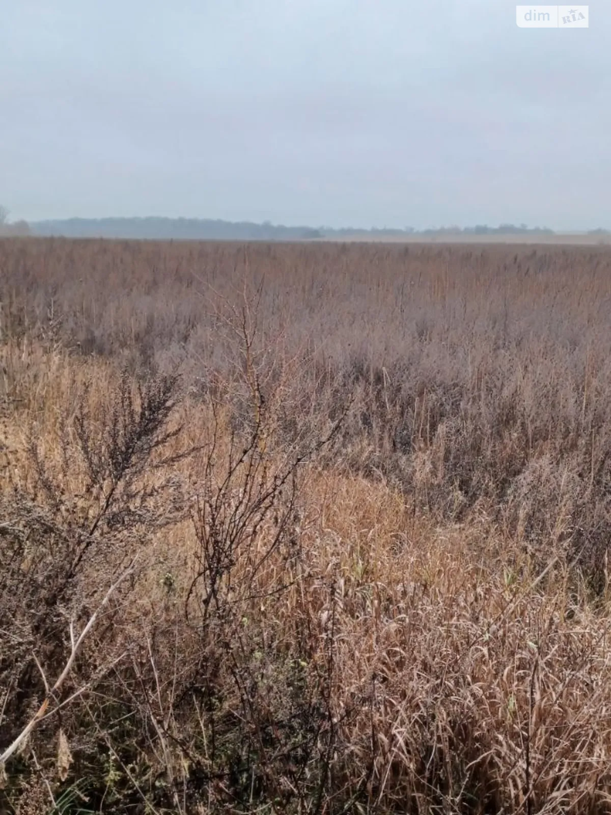 Сдается в аренду земельный участок 13.8393 соток в  области, цена: 58662 грн - фото 1