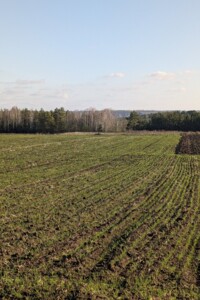 Продажа участка под жилую застройку, Хмельницкая, Старая Ушица