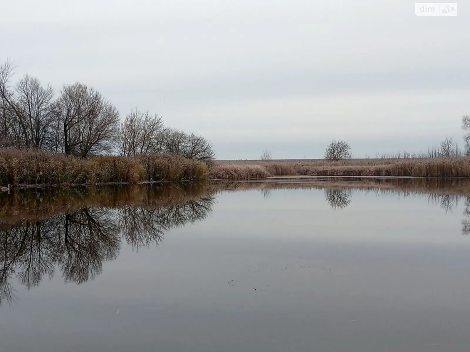 Сдается в аренду земельный участок 1.986 соток в  области, цена: 3527 грн - фото 1