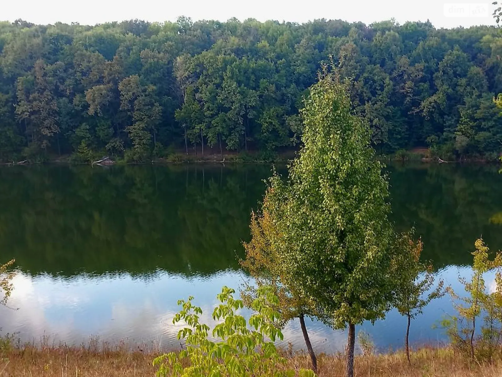 Сдается в аренду земельный участок 7.7557 соток в  области, цена: 11206 грн - фото 1