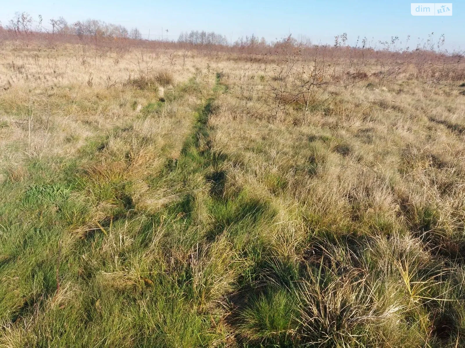Здається в оренду земельна ділянка 3.1 соток у Івано-Франківській області, цена: 9054 грн - фото 1