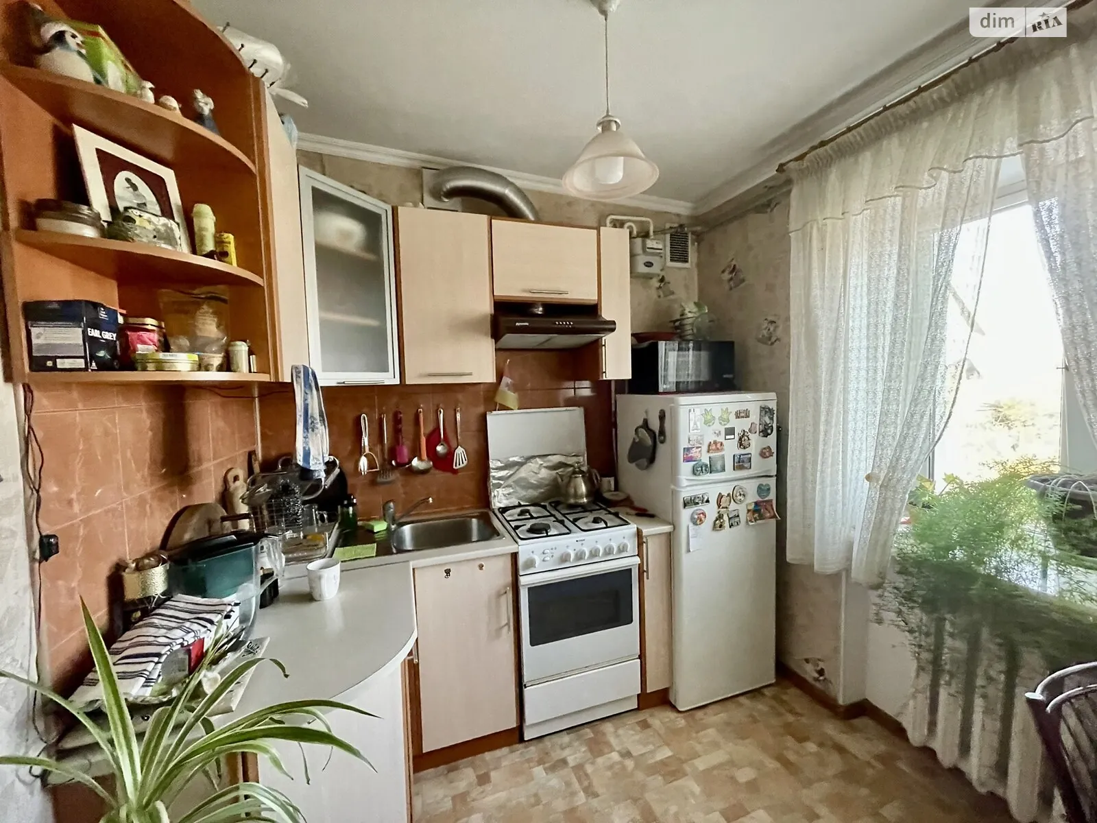 Продается 1-комнатная квартира 29.2 кв. м в Набережном, ул. Елисеева - фото 1