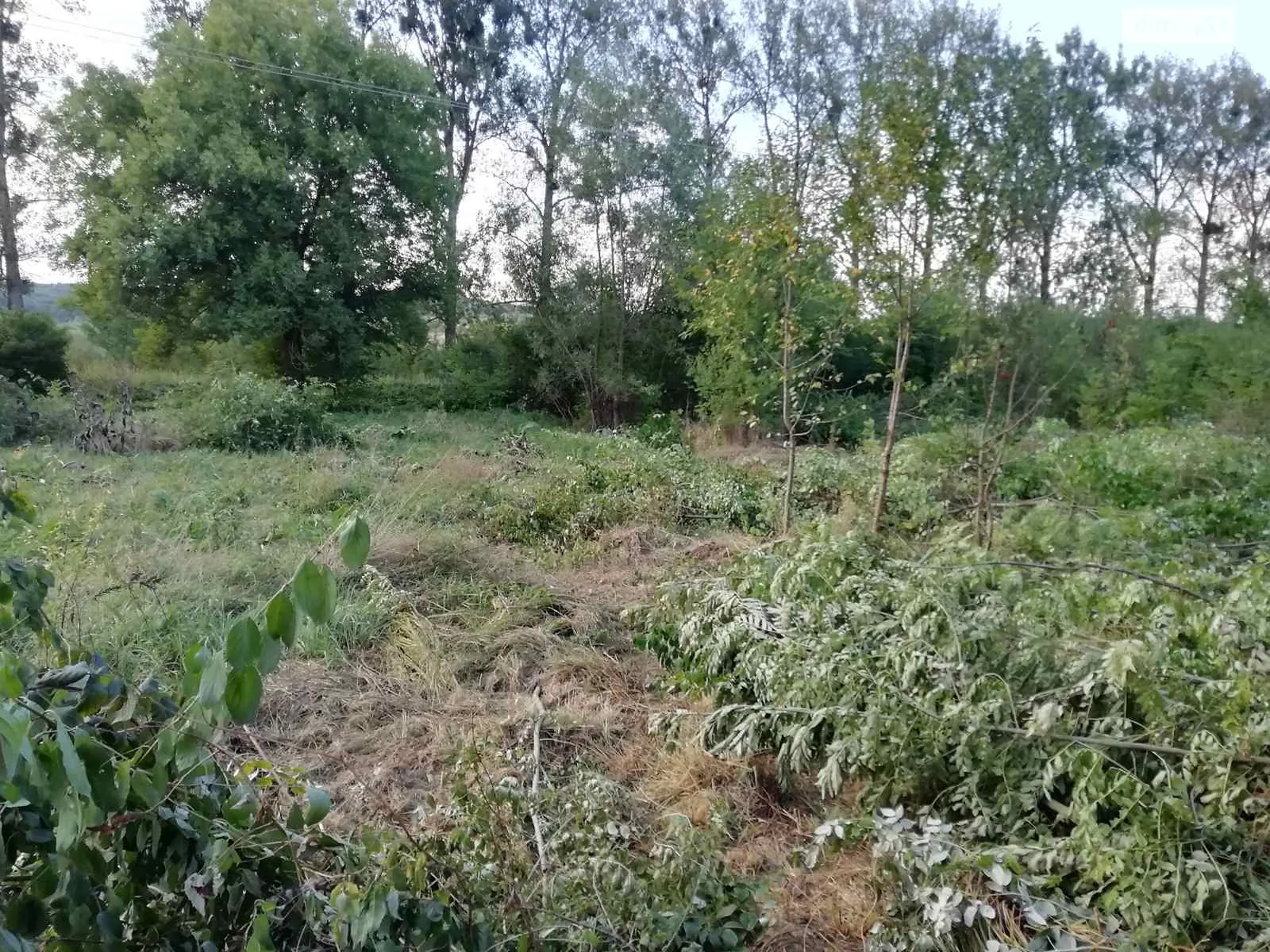 Продается земельный участок 8 соток в Ивано-Франковской области, цена: 6000 $ - фото 1