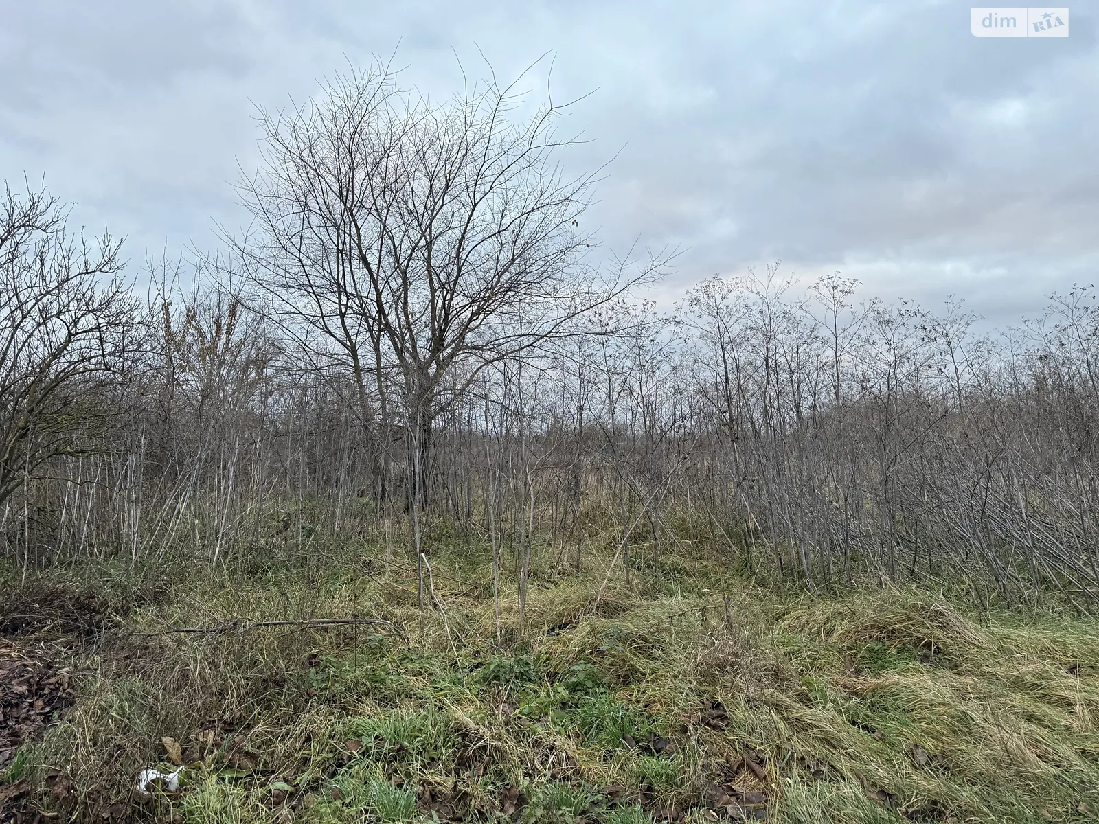 Продается земельный участок 12 соток в Винницкой области, цена: 20000 $ - фото 1