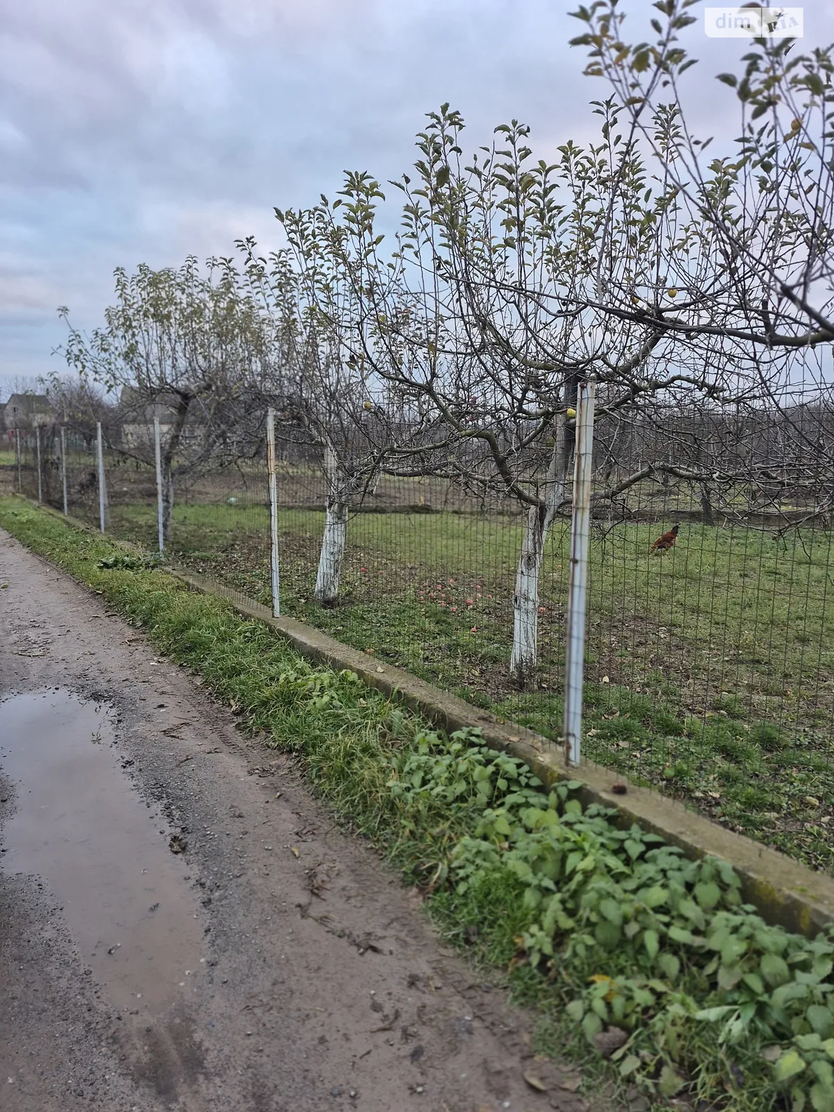 Продается земельный участок 9 соток в Винницкой области, цена: 14000 $ - фото 1