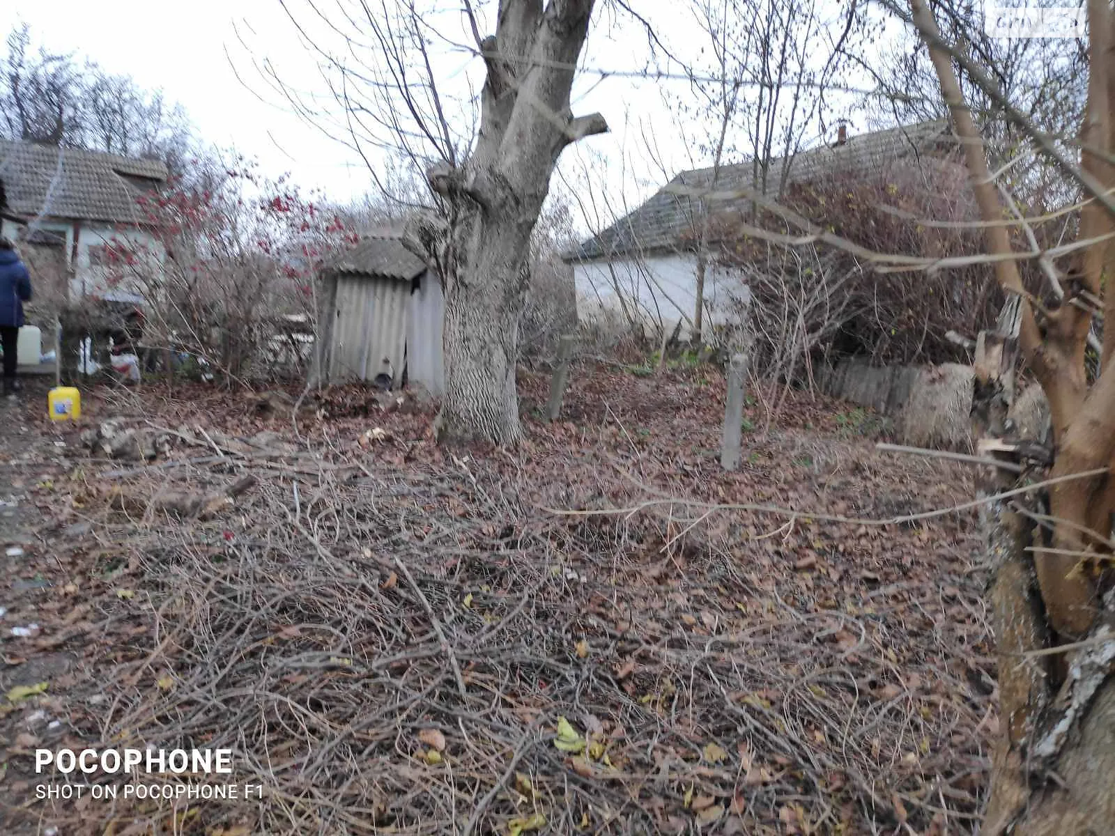 Продается земельный участок 60 соток в Винницкой области, цена: 5000 $ - фото 1