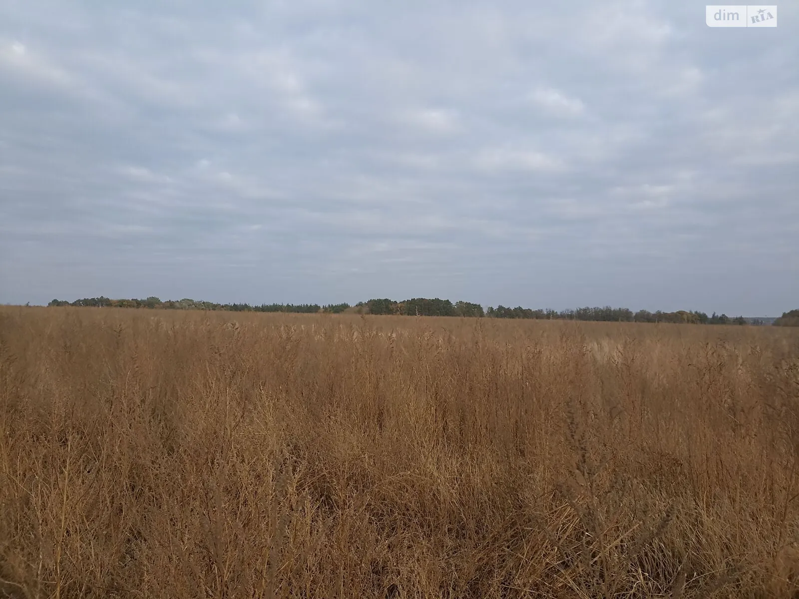 Сдается в аренду земельный участок 17.5 соток в Киевской области, цена: 75025 грн - фото 1