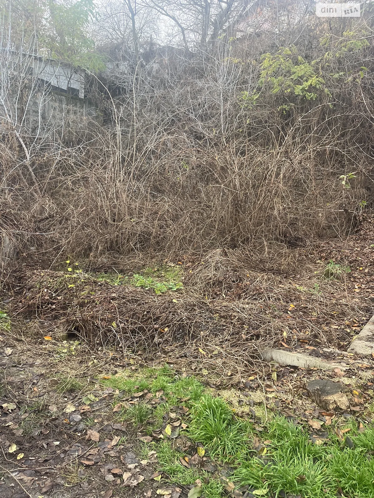 Продается земельный участок 4 соток в Винницкой области, цена: 36500 $ - фото 1