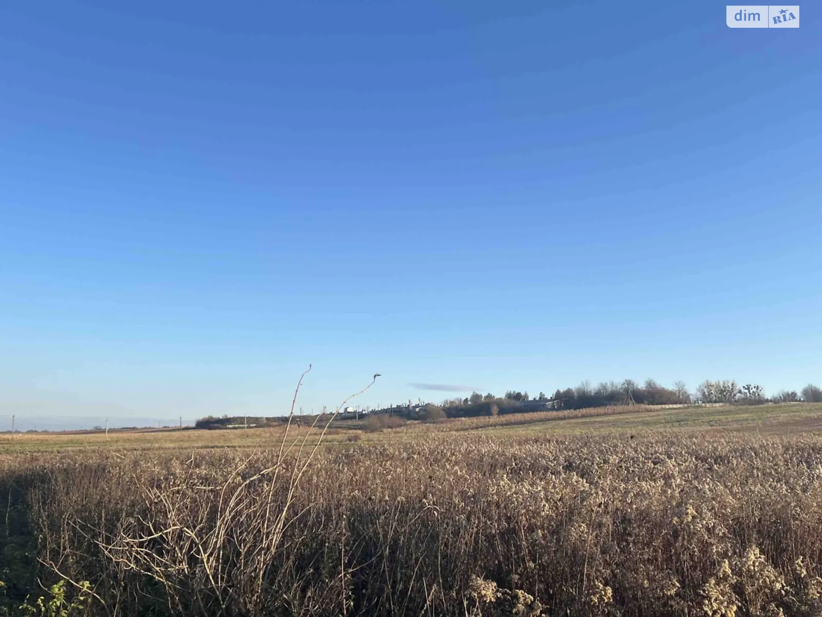 Продается земельный участок 10 соток в Львовской области, цена: 7000 $ - фото 1