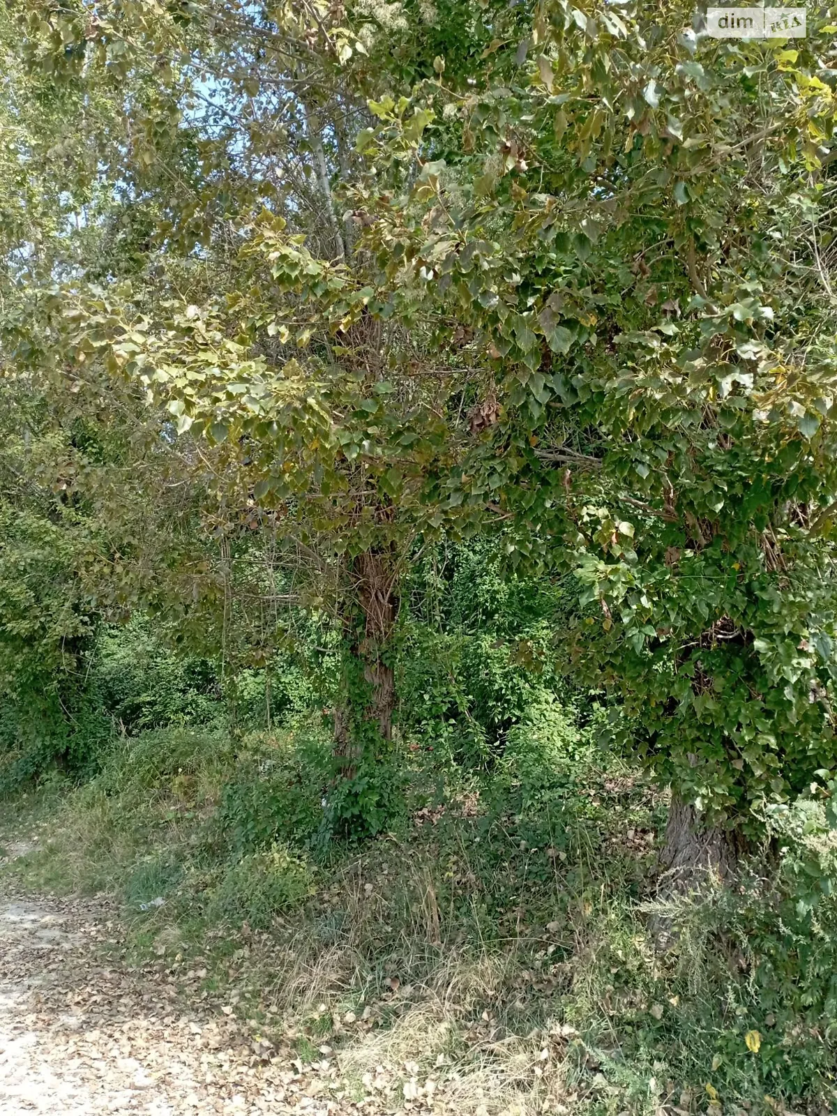 Продается земельный участок 0.0059 соток в Львовской области, цена: 21927 грн - фото 1