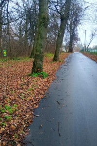 Купить землю под застройку в Тернопольской области