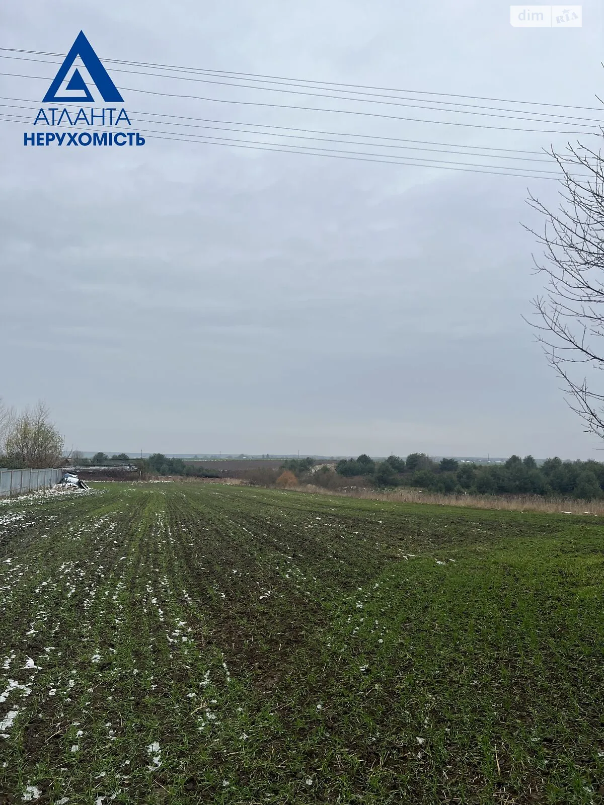 Продается земельный участок 19 соток в Волынской области, цена: 10000 $ - фото 1