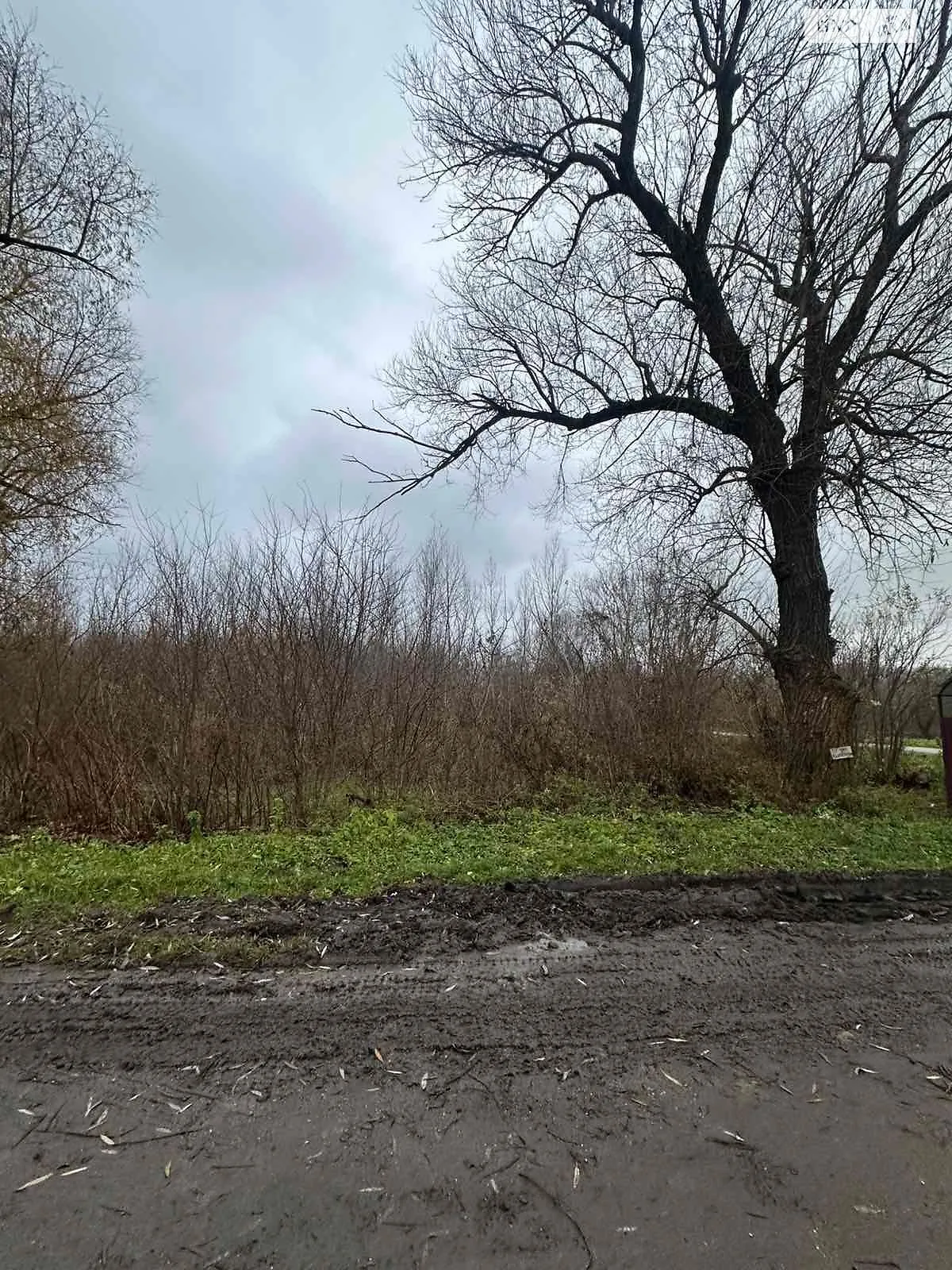 Сдается в аренду земельный участок 4.3251 соток в Хмельницкой области, цена: 12251 грн - фото 1